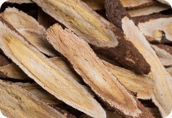 Astragalus