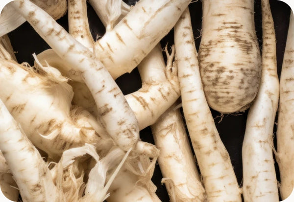 Chicory Root