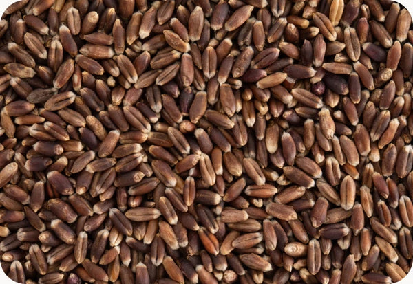 Flaxseed/Flaxseed Powder