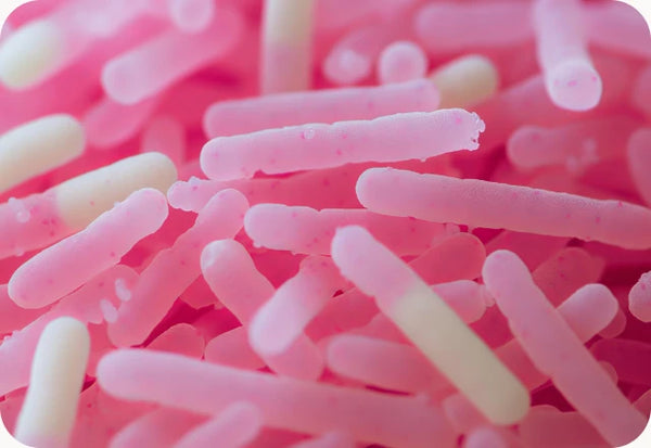Prebiotics