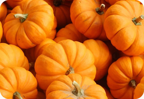 Pumpkin