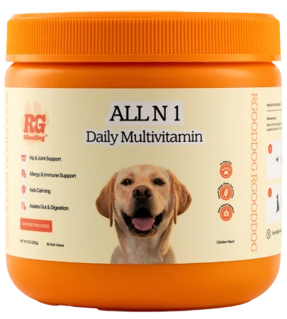 ALL N 1 - Daily Multivitamin