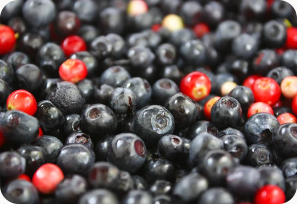 Blueberries and Cranberries