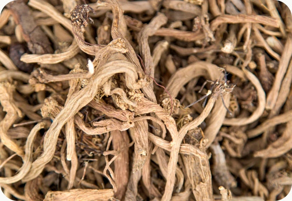Valerian Root