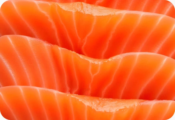 Wild Salmon Oil